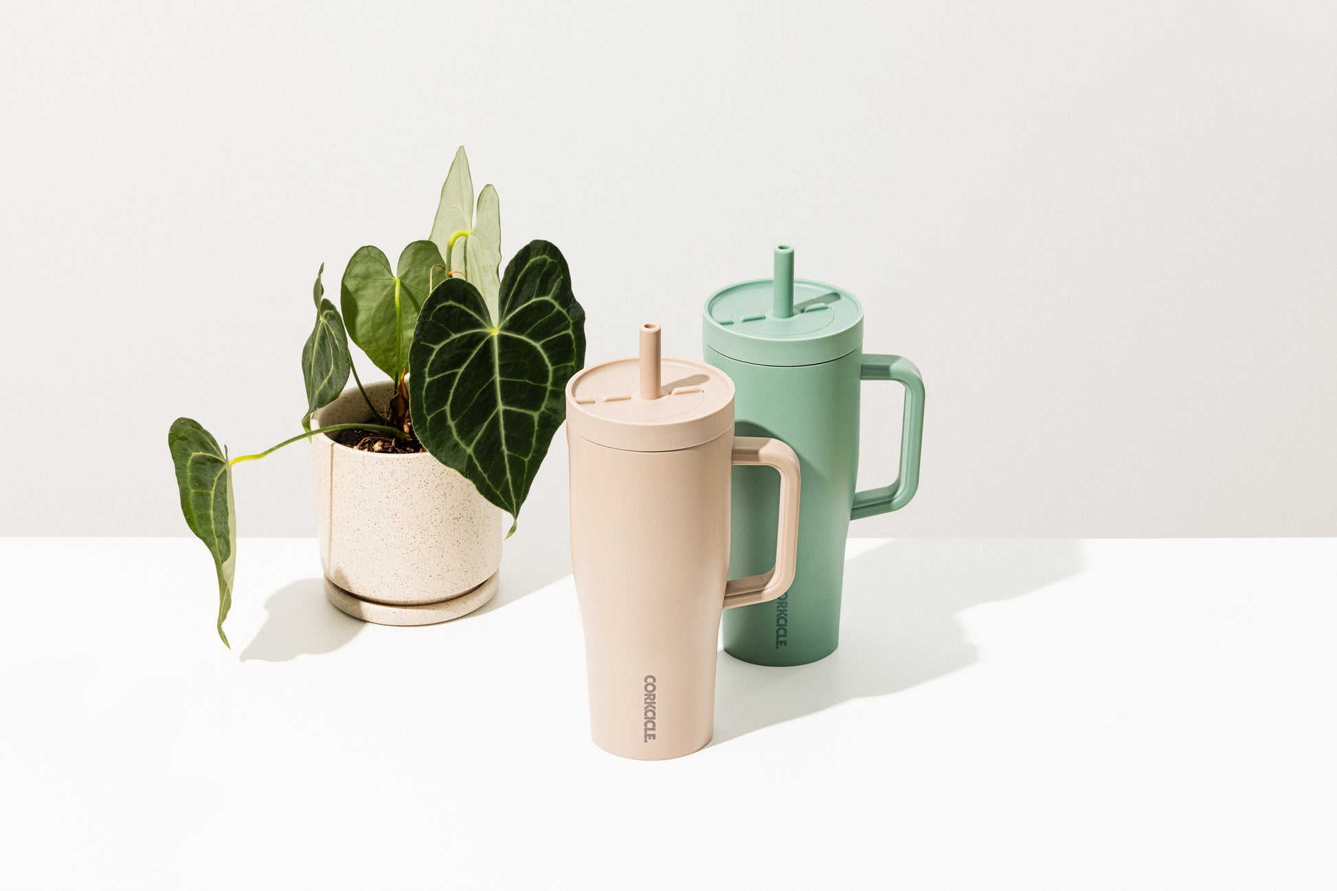 CORKCICLE Leakproof Cruiser 22oz (650ml) - Mrs. Porter