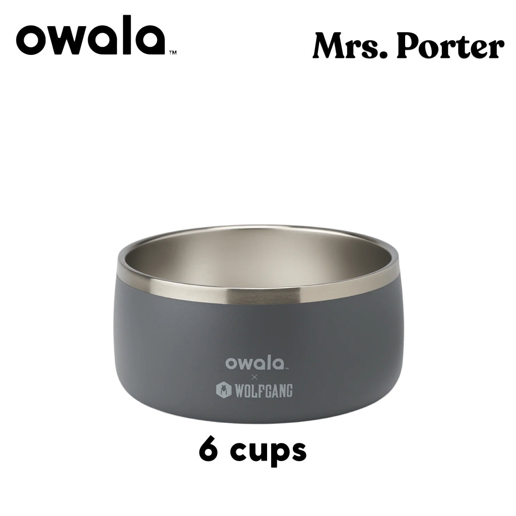 Owala Pet Bowl Stainless Steel