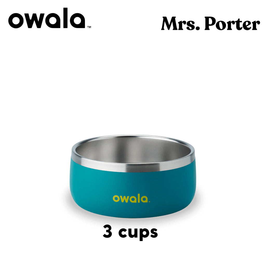 Owala Pet Bowl Stainless Steel