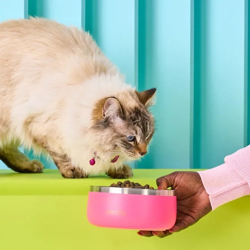 Owala Pet Bowl Stainless Steel