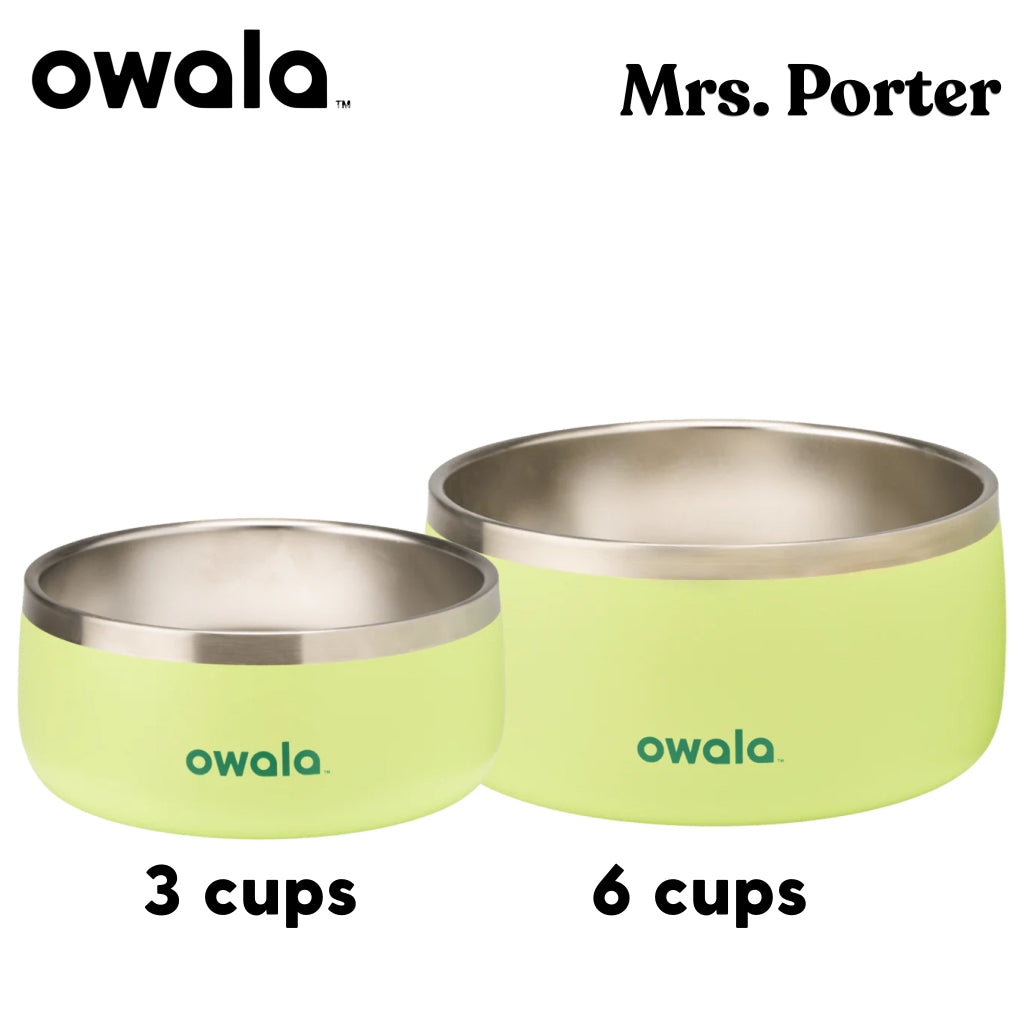 Owala Pet Bowl Stainless Steel