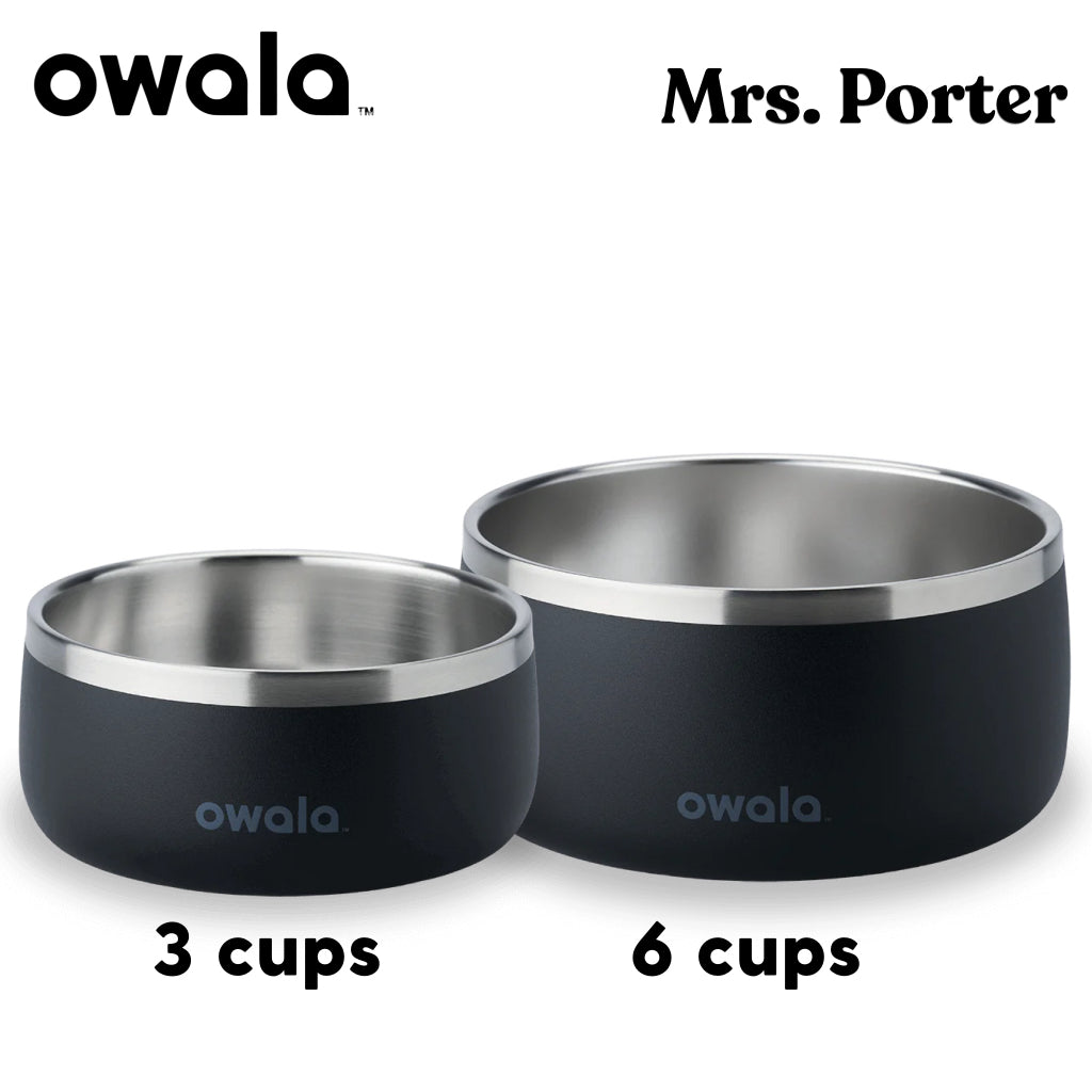 Owala Pet Bowl Stainless Steel