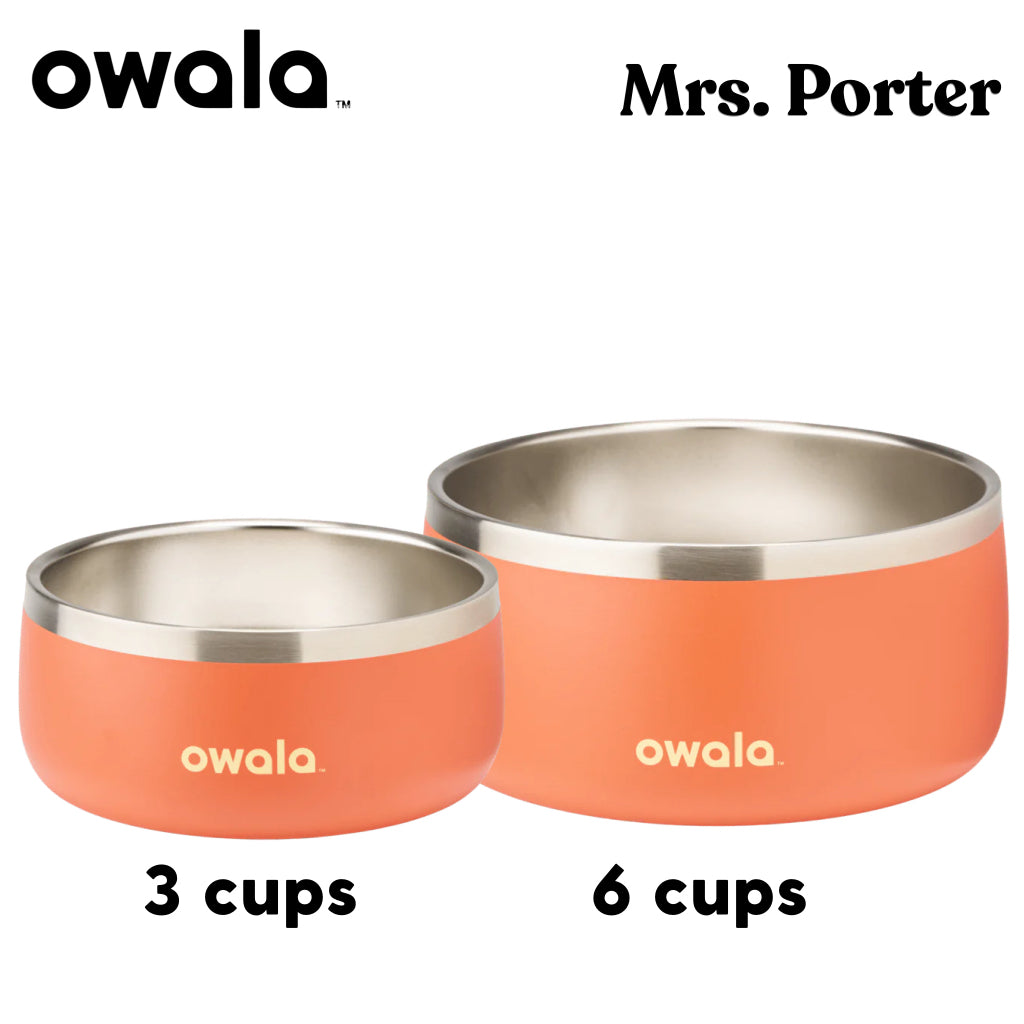 Owala Pet Bowl Stainless Steel