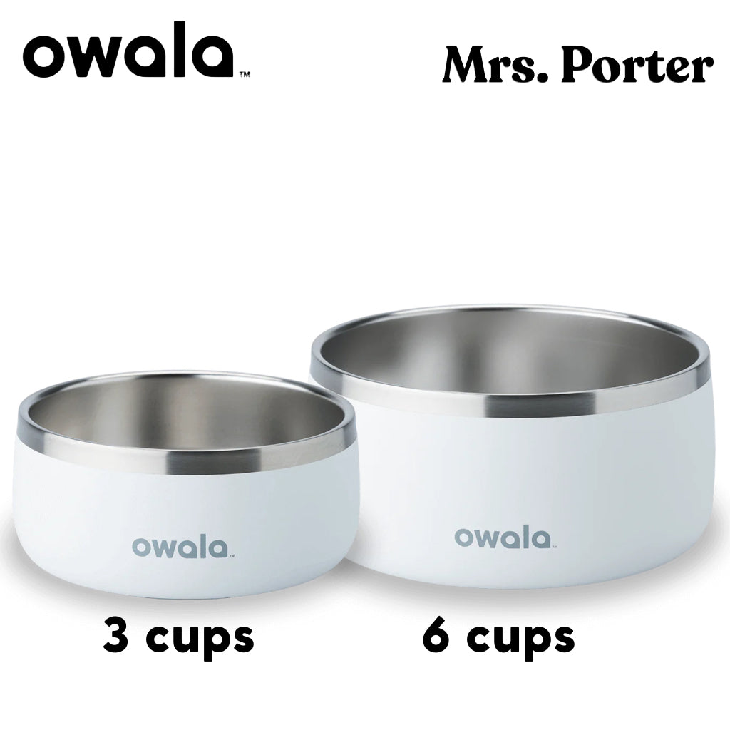 Owala Pet Bowl Stainless Steel