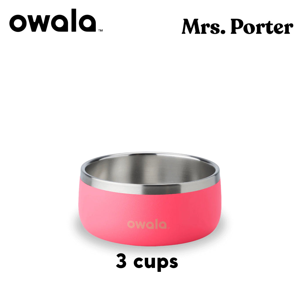 Owala Pet Bowl Stainless Steel