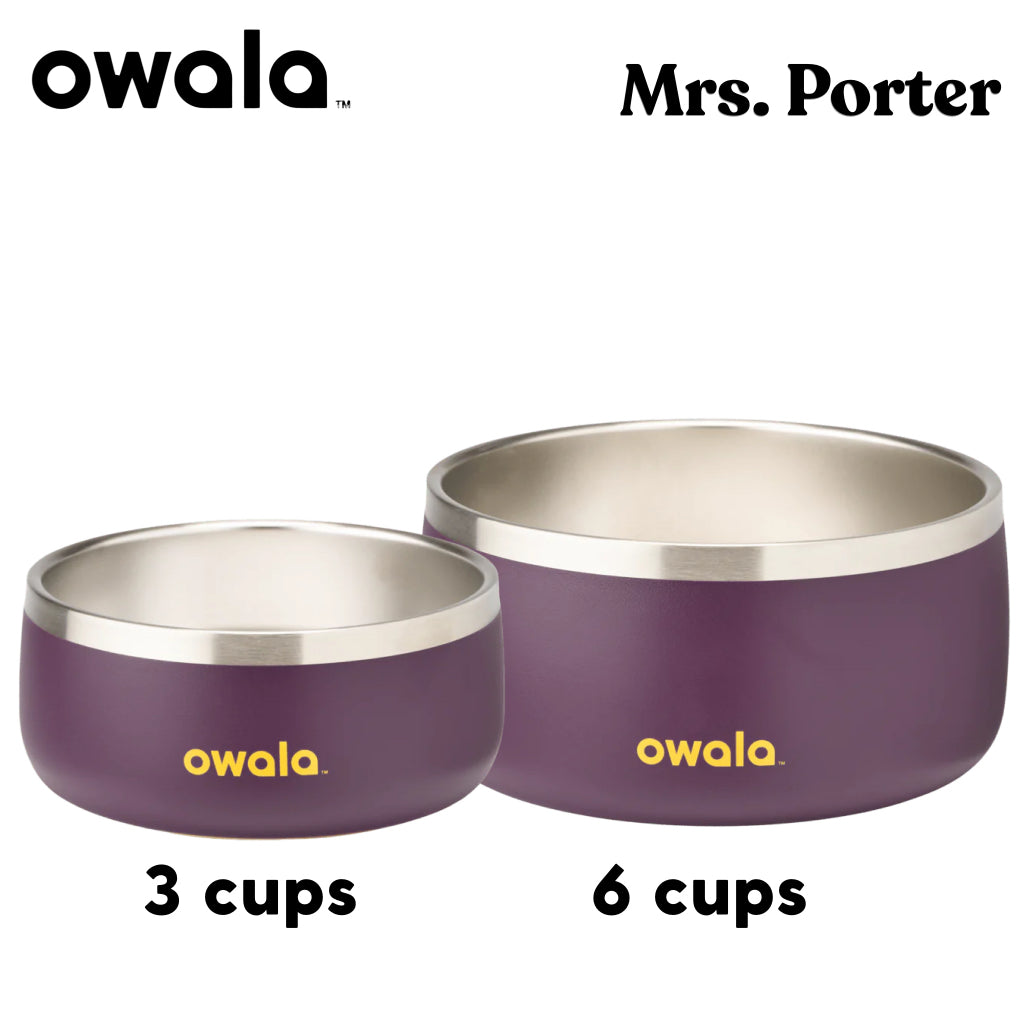 Owala Pet Bowl Stainless Steel