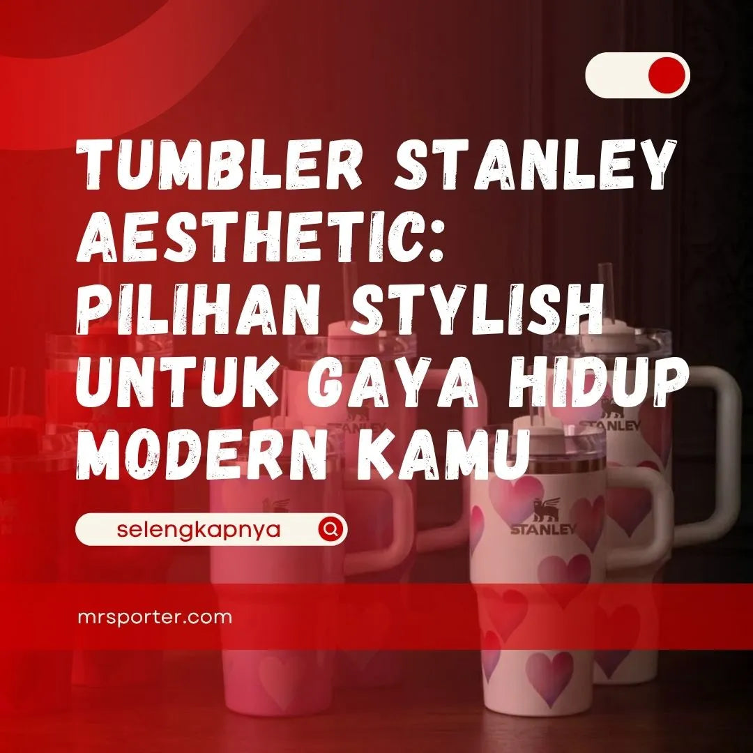 Tumbler Stanley Aesthetic 