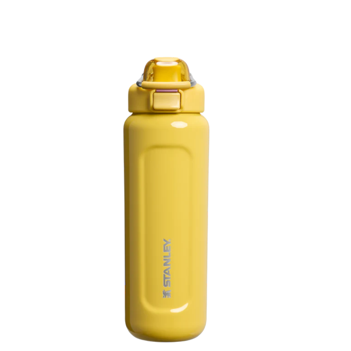 Stanley Classic Wellspring Bottle