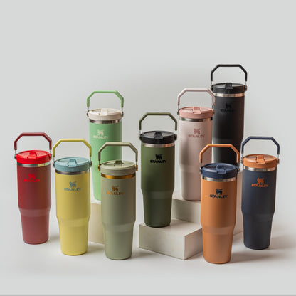 Stanley The Iceflow Flip Straw Tumbler 30oz