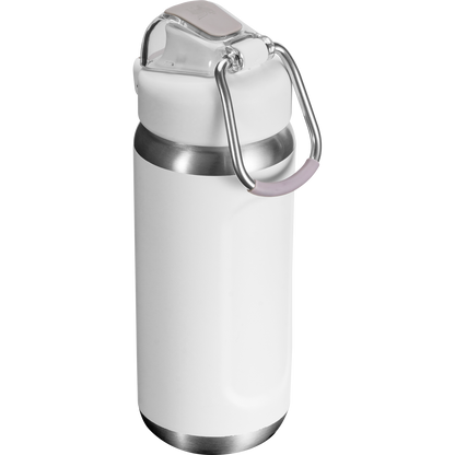 Stanley Classic Wellspring Bottle