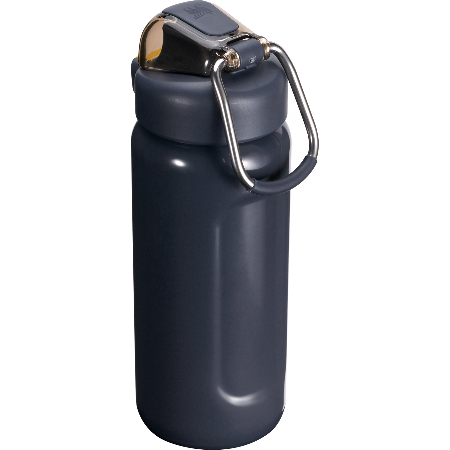 Stanley Classic Wellspring Bottle