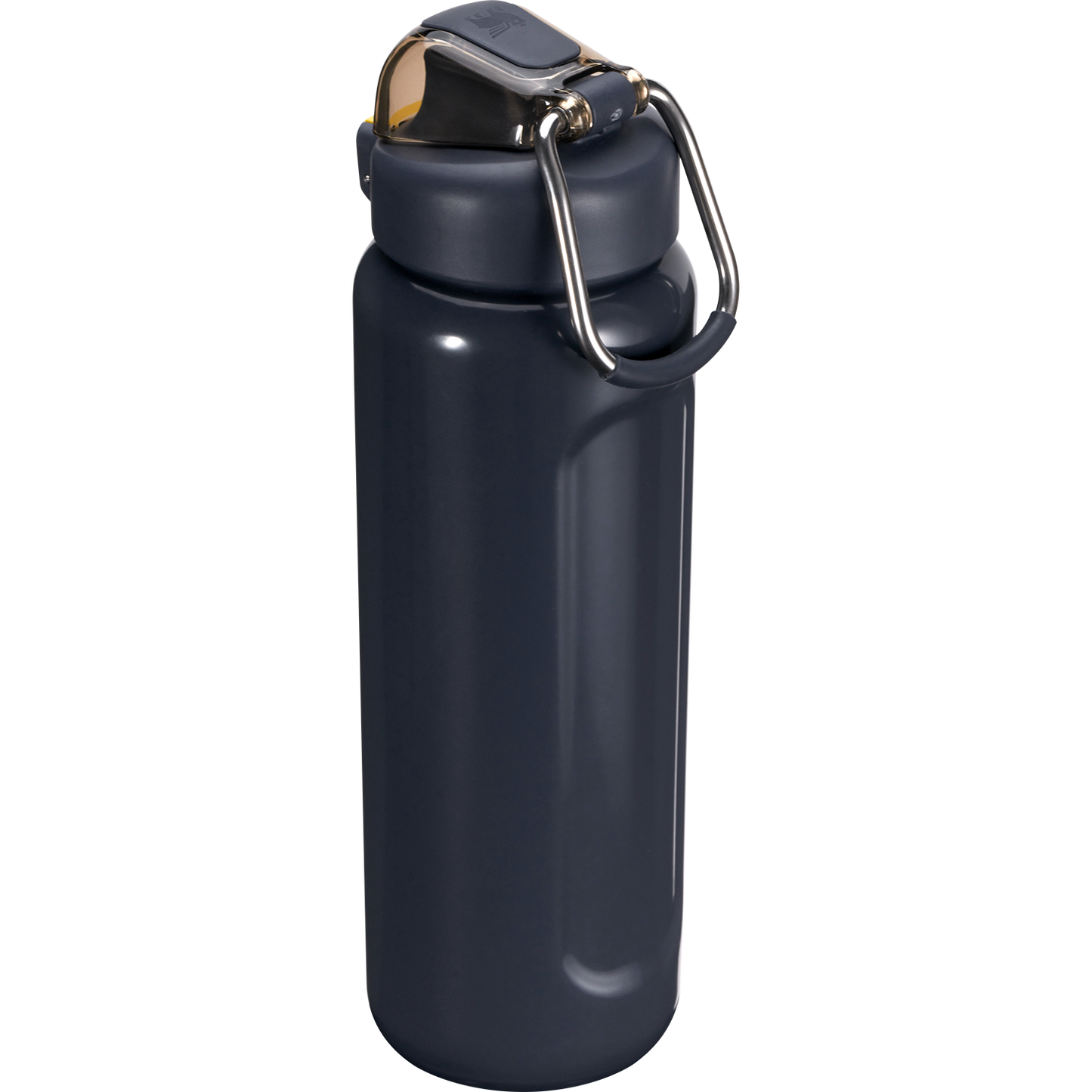 Stanley Classic Wellspring Bottle