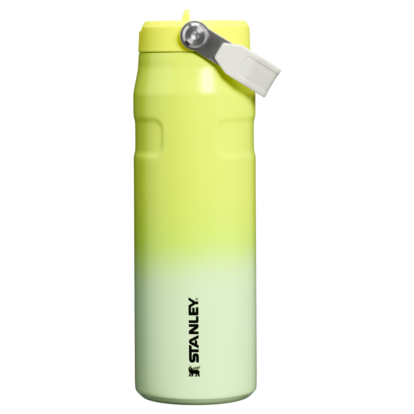 Stanley The IceFlow Bottle with Flip Straw Lid